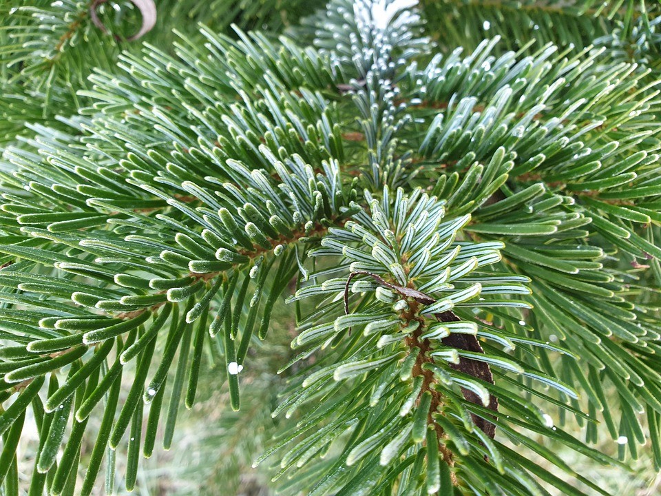 Sortiment R egger Holz AG In Uerkheim