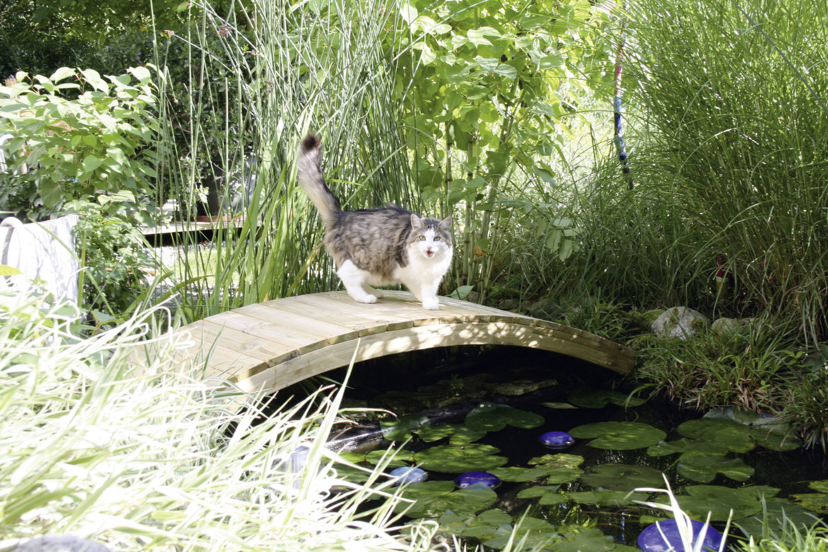 Teichbrücke gebogen Teichbruecke_G532_mitKatze.jpg
