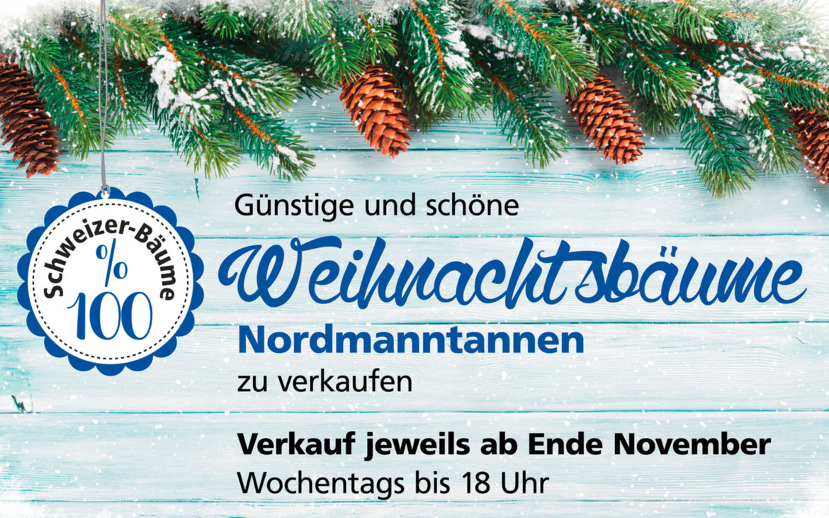 Weihnachtsbaum-Verkauf_1p2b7b0ndxt4u.jpg Weihnachtsbaum-Verkauf_1p2b7b0ndxt4u.jpg