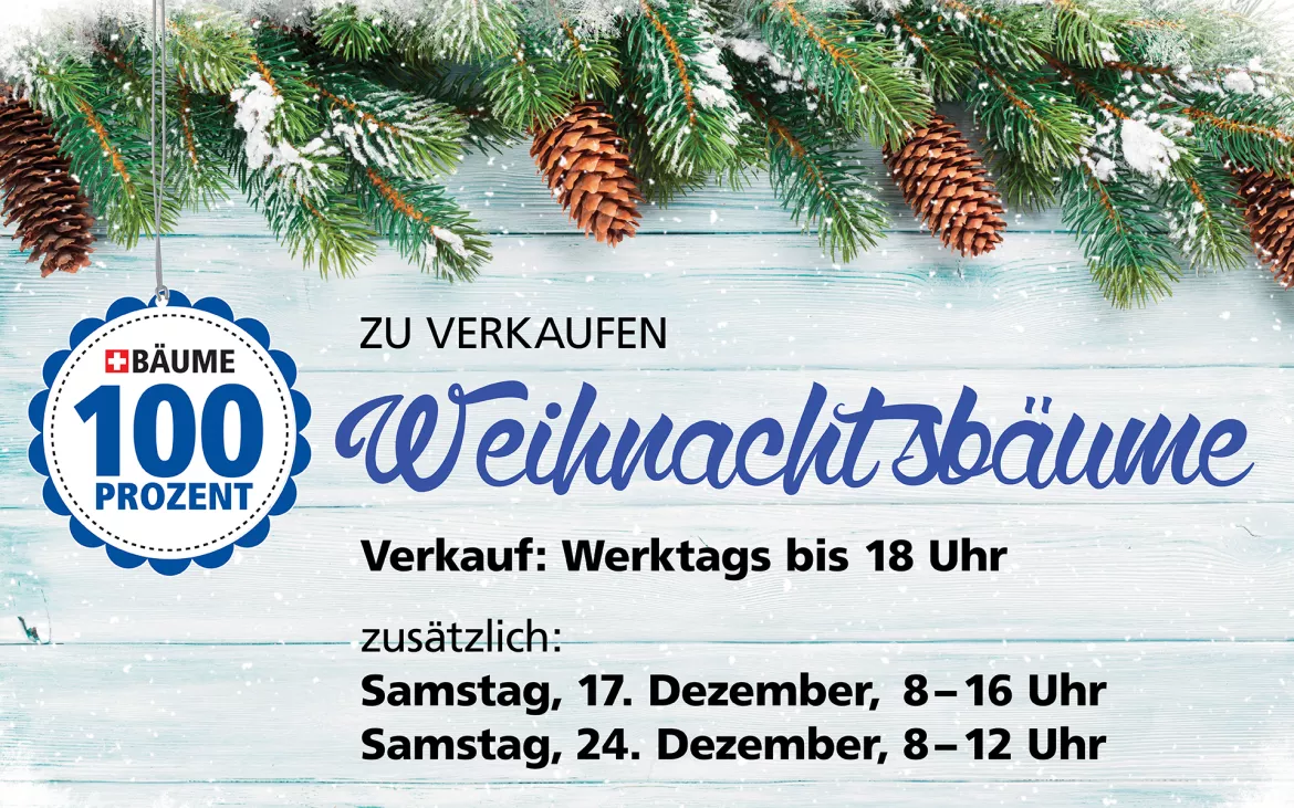 Weihnachtsbaumverkauf_2022_Termine_17ze0omqvedtg.jpg Weihnachtsbaumverkauf_2022_Termine_17ze0omqvedtg.jpg