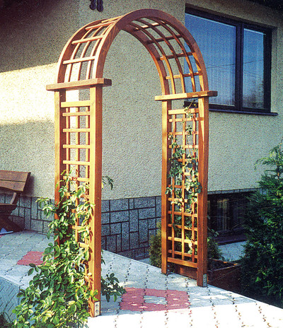 Rosenbogen_Viola_15zcf1rp14i7w.jpg