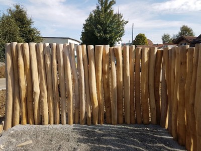 Robinien_Staemme_als_Wand.jpg