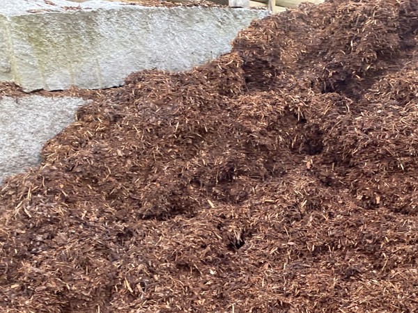 Rindenmulch.jpg