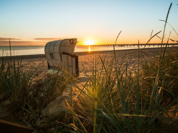 Strandkorb_im_Schilf.jpg Strandkorb_im_Schilf.jpg