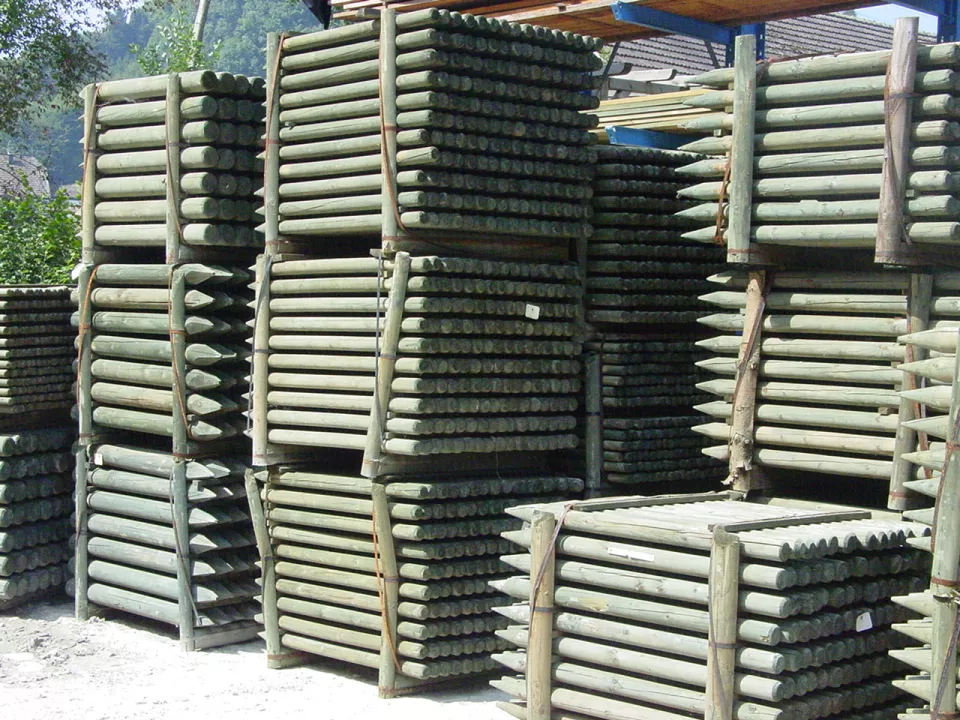 DSC05436.JPG DSC05436.JPG