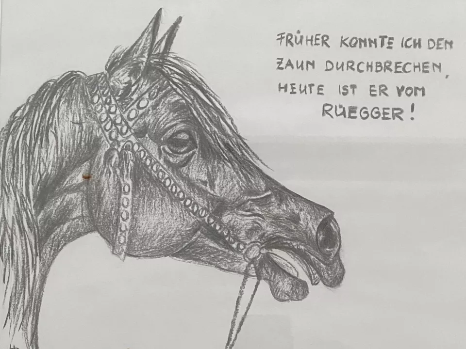 Pferdezeichnung_1ab1t1fk4ftwd.jpg Pferdezeichnung_1ab1t1fk4ftwd.jpg