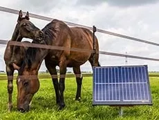 Elektrozaun_Gallagher.jpg Elektrozaun_Gallagher.jpg