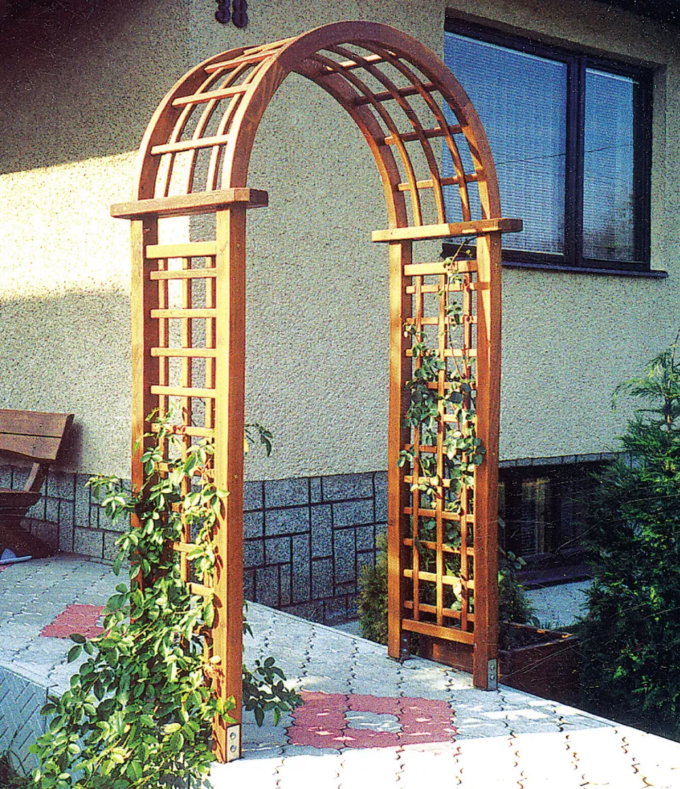 Rosenbogen_Viola_15zcf1rp14i7w.jpg Rosenbogen_Viola_15zcf1rp14i7w.jpg