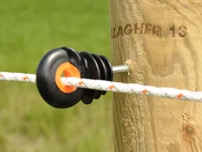 Cordisolator.jpg Cordisolator.jpg