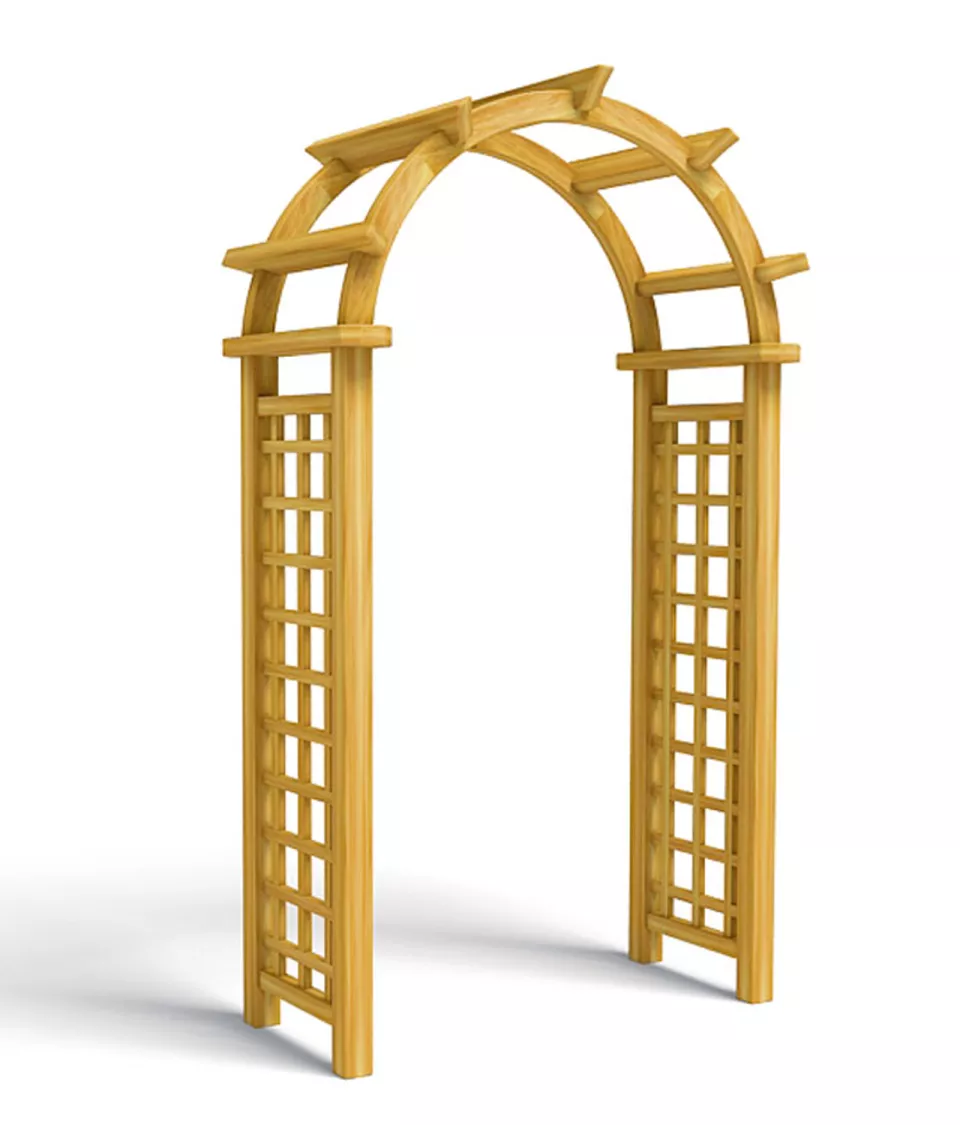 Rosenbogen_Susanna_wpf1314qu6rt.jpg Rosenbogen_Susanna_wpf1314qu6rt.jpg