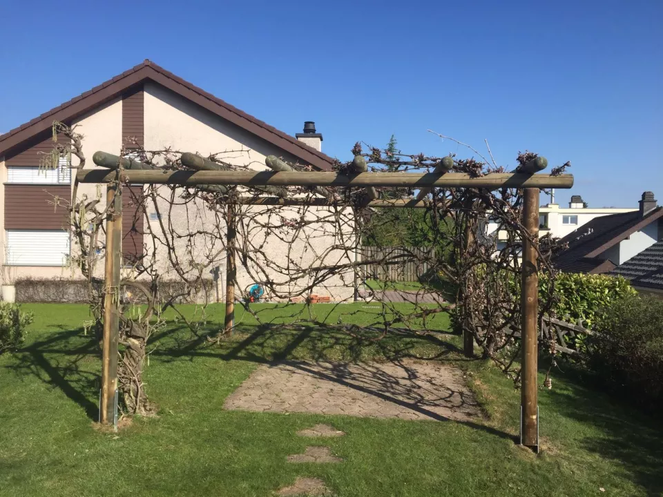 Rundholzpergola.jpg