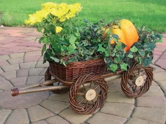 Weidenanhaenger.jpg Weidenanhaenger.jpg