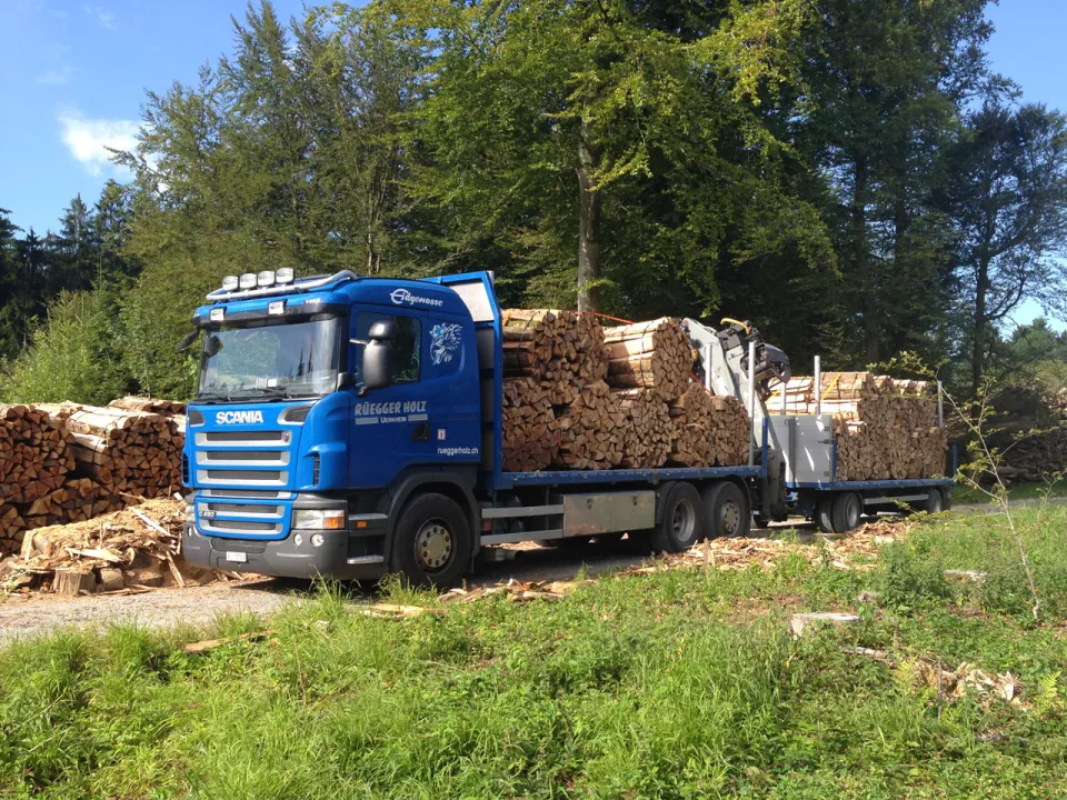 Holzwagen_Scania.jpg