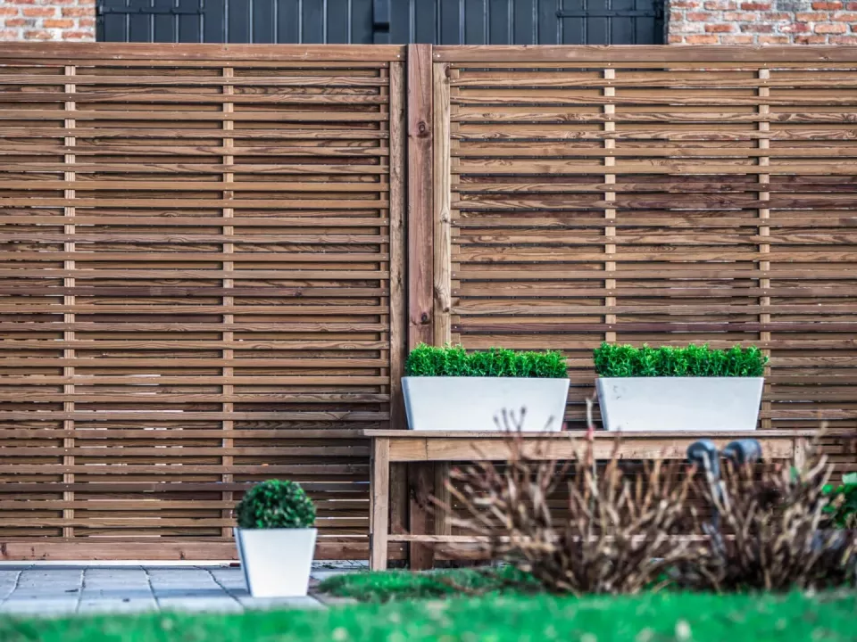 Isaura_Twin_tanwood.jpg Isaura_Twin_tanwood.jpg