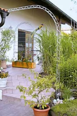 arcadia_rosenbogen_einseitig.jpg arcadia_rosenbogen_einseitig.jpg