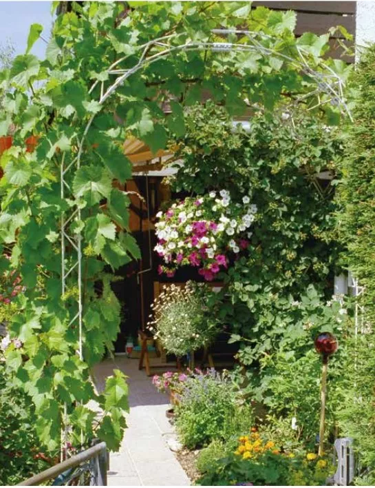 arcadia_rosenbogen.jpg arcadia_rosenbogen.jpg