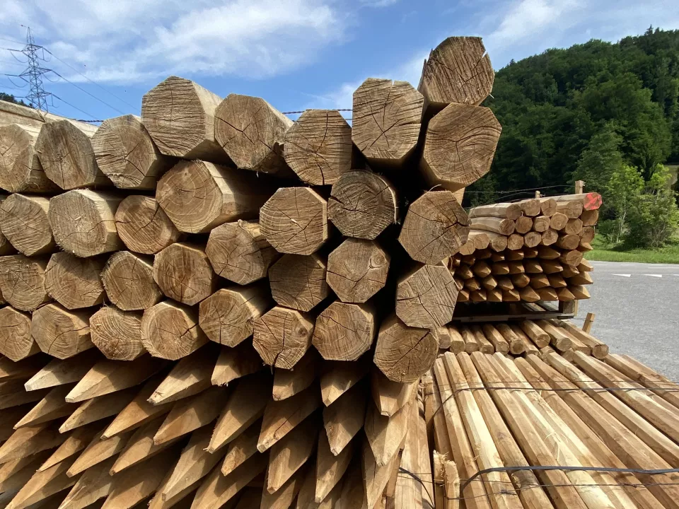 Akazienpfähle_2.jpg Akazienpfähle_2.jpg