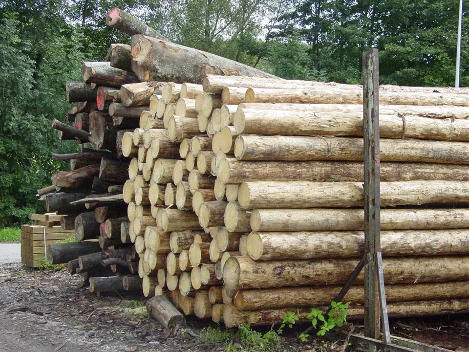 DSC05327.JPG DSC05327.JPG